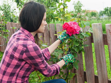 Professional gardeners tending to a garden in Abbey Wood
